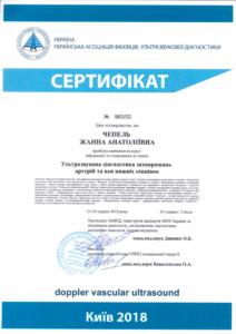 Сертификат Чепель Жанна