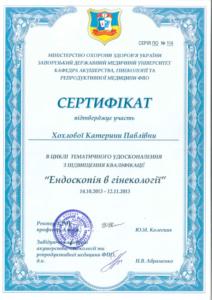 Сертификат Хохлова Екатерина
