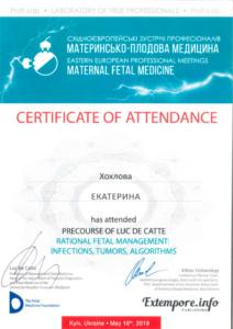 Сертификат Хохлова Екатерина