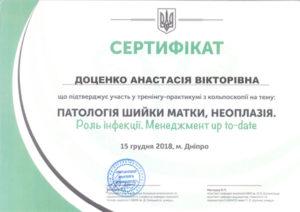 Сертификат Доценко Анастасия