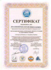 Сертификат Красноперов Сергей