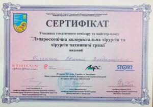 Сертификат Кичангин Евгений