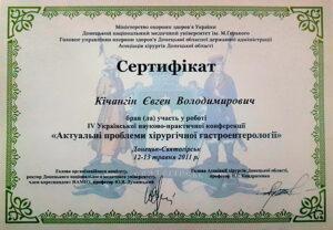 Сертификат Кичангин Евгений