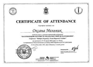 Сертификат Мазур Оксана