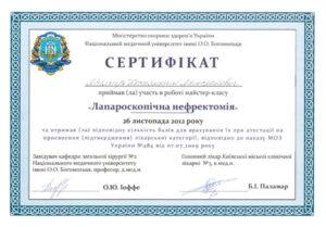 Сертификат Милица Константин