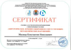 Сертификат Милица Константин