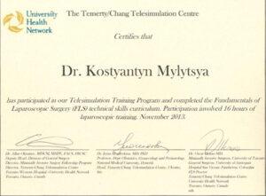 Сертификат Милица Константин