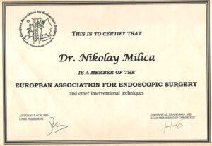 Сертификат Милица Николай