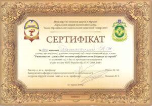 Сертификат Дамаскина Татьяна