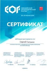 Сертификат Галушка Сергей