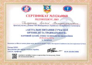 Сертификат Галушка Сергей