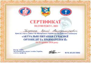Сертификат Галушка Сергей