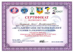 Сертификат Галушка Сергей