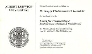 Сертификат Галушка Сергей