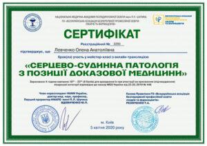 Сертификат Левченко Елена