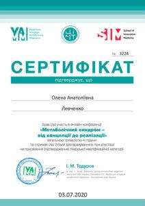 Сертификат Левченко Елена