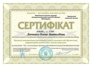 Сертификат Левченко Елена