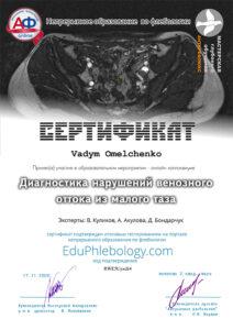 Сертификат Омельченко Вадим