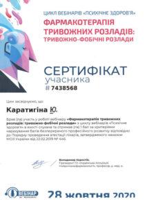Сертификат Каратыгина Юлия