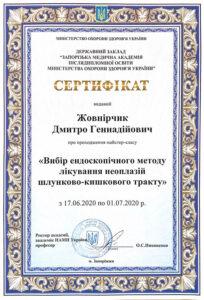 Сертификат Жовнирчик Дмитрий Геннадьевич