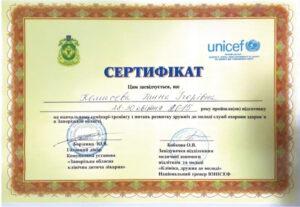 Сертификат Комысева Анна Игоревна