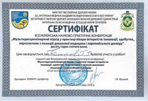 Сертификат Комысева Анна Игоревна