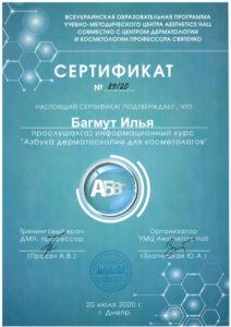 Сертификат Багмут Илья Вадимович