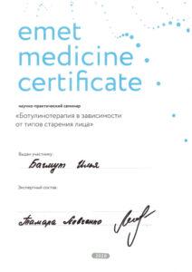 Сертификат Багмут Илья Вадимович