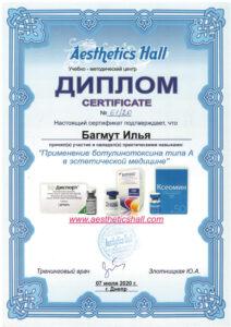 Сертификат Багмут Илья Вадимович