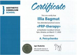 Сертификат Багмут Илья Вадимович