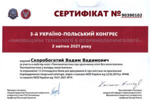 Сертификат Скоробогатый Вадим Вадимович