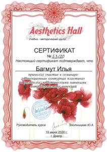 Сертификат Багмут Илья Вадимович