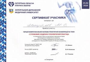 Сертификат Мануйлов Николай Сергеевич