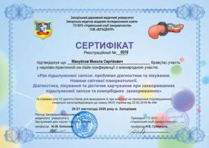 Сертификат Мануйлов Николай Сергеевич