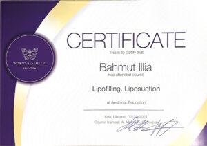 Сертификат Багмут Илья Вадимович