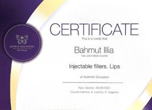 Сертификат Багмут Илья Вадимович