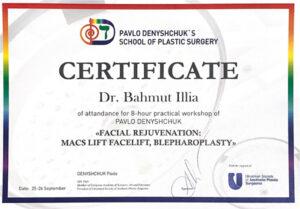 Сертификат Багмут Илья Вадимович