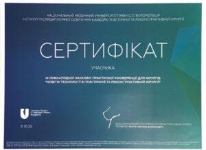 Сертификат Багмут Илья Вадимович