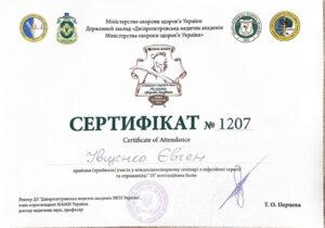 Сертификат Ивщенко Евгений Владимирович