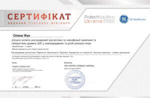 Сертификат Жук Елена Анатольевна