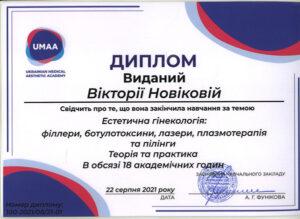 Сертификат Новикова Виктория Владимировна