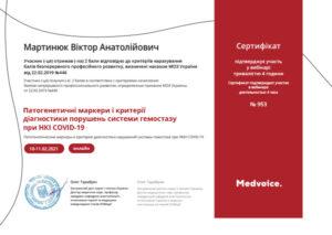 Сертификат Мартынюк Виктор Анатольевич