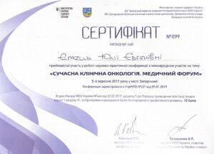 Сертификат Емец Юлия Евгеньевна