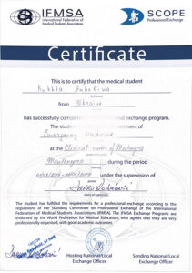 certificat_baranovska_angelina_oleksandrivna